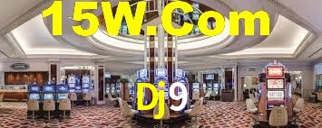 Premium Interface Dj9